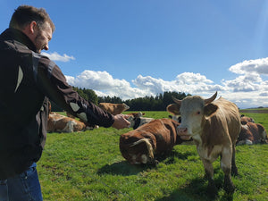 Was "Weiderind" bedeutet und wie wir es bei Stadt Land Stall leben